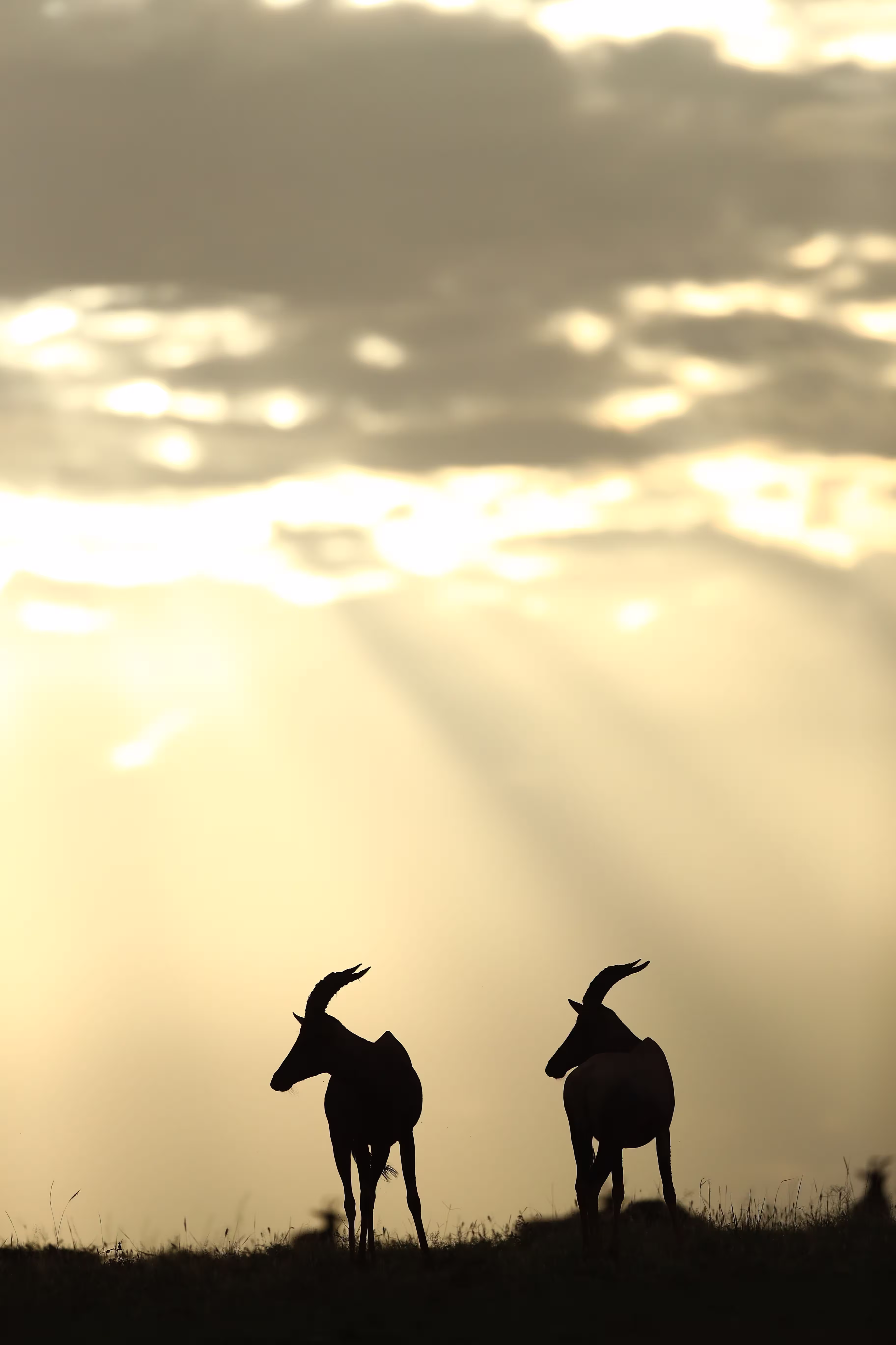 kenya-travel-img