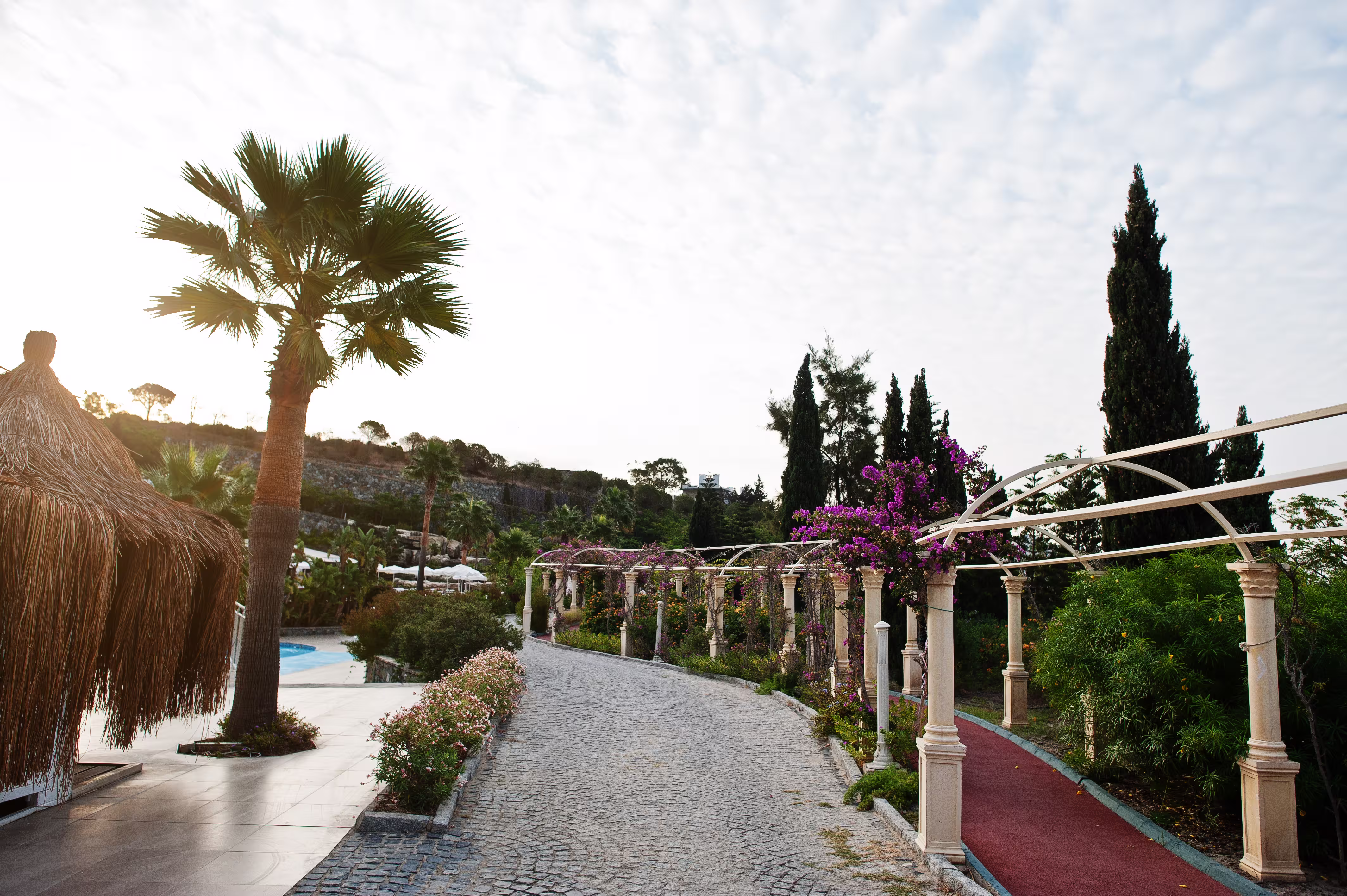 amazing gardens with arch flowers palms luxury hot