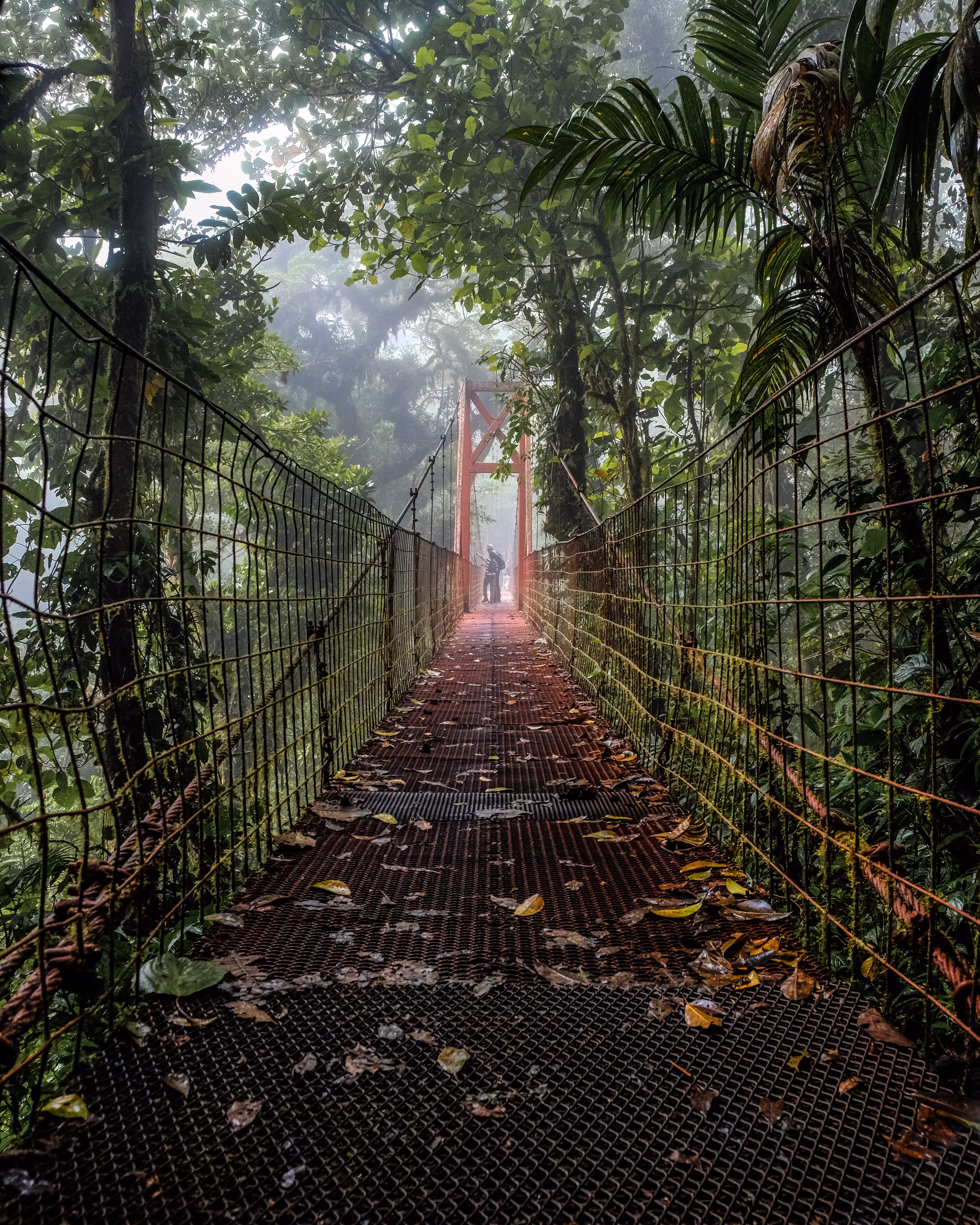 Old bridge in Costa Rica forest
