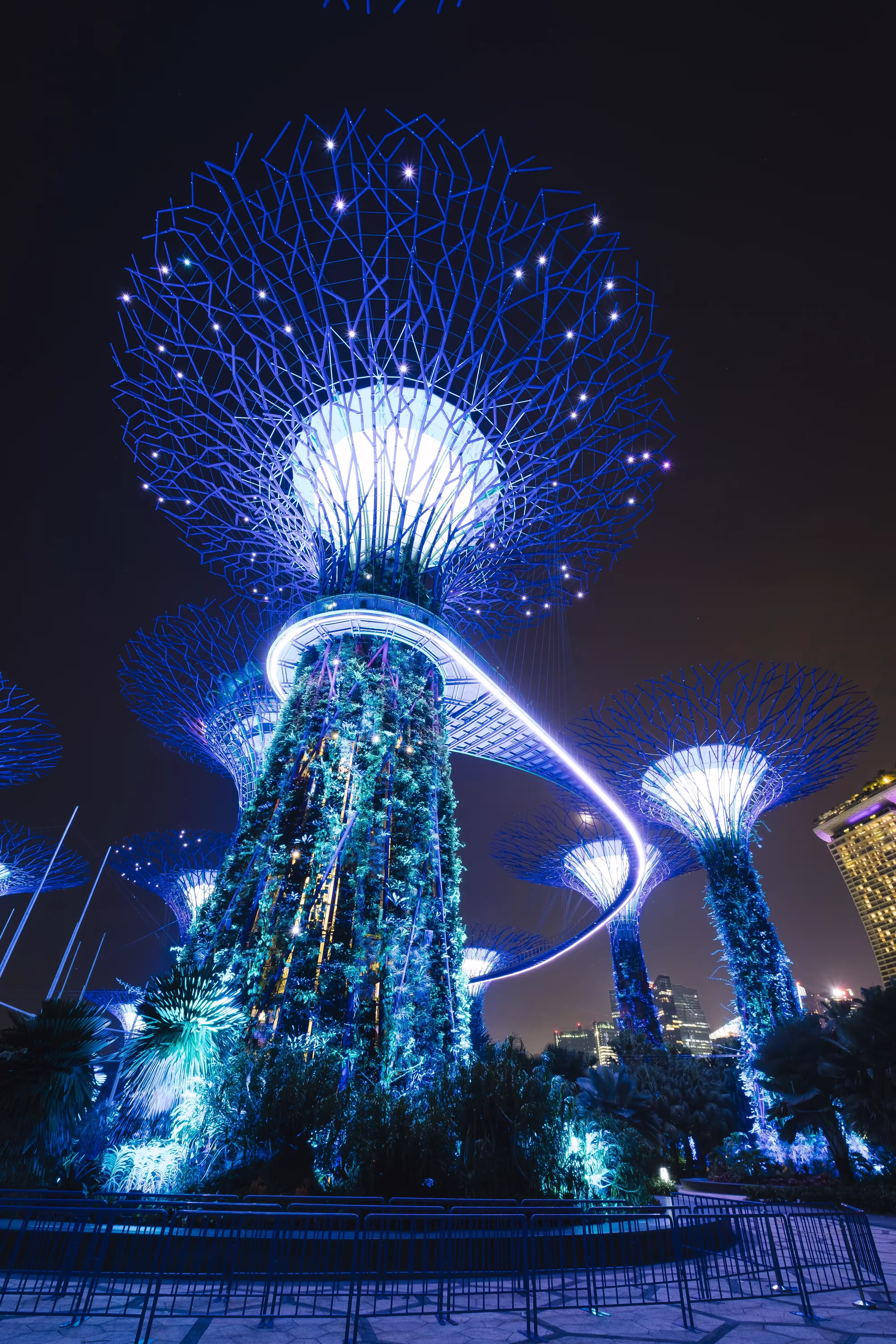 Gardens by the Bay Singapore at night