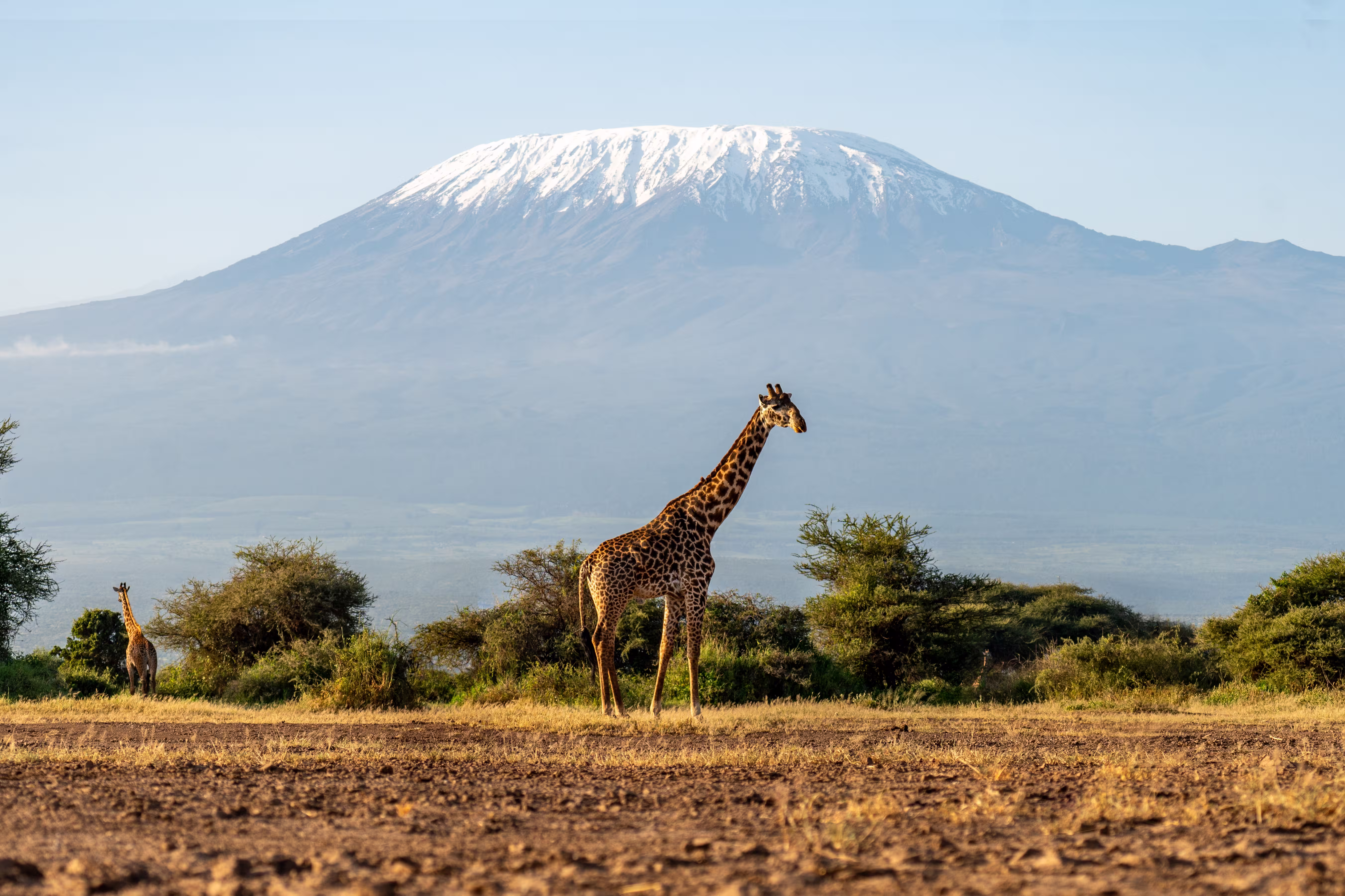 mount-kilimanjaro-img