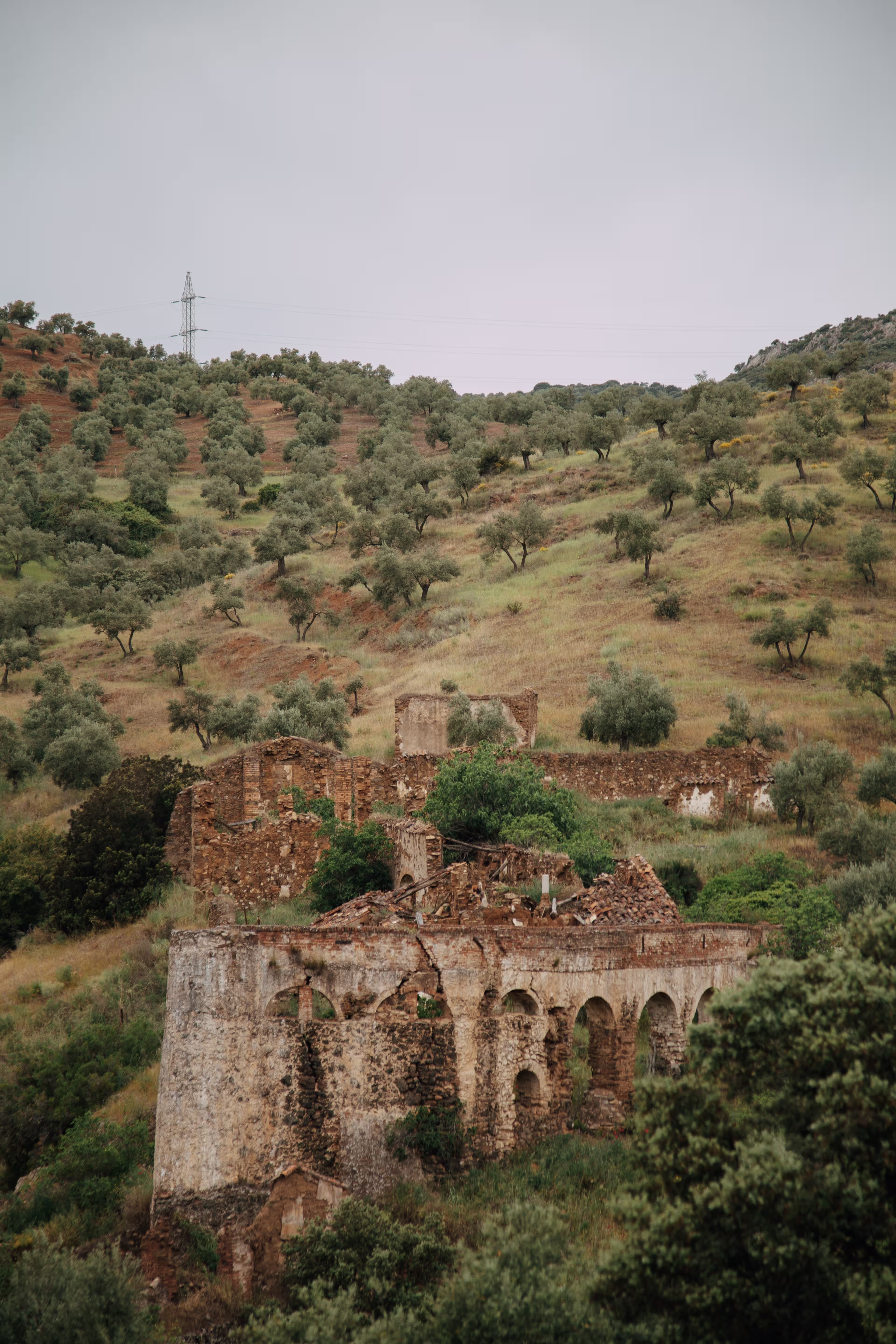 Green mountainous landscape in Portugal