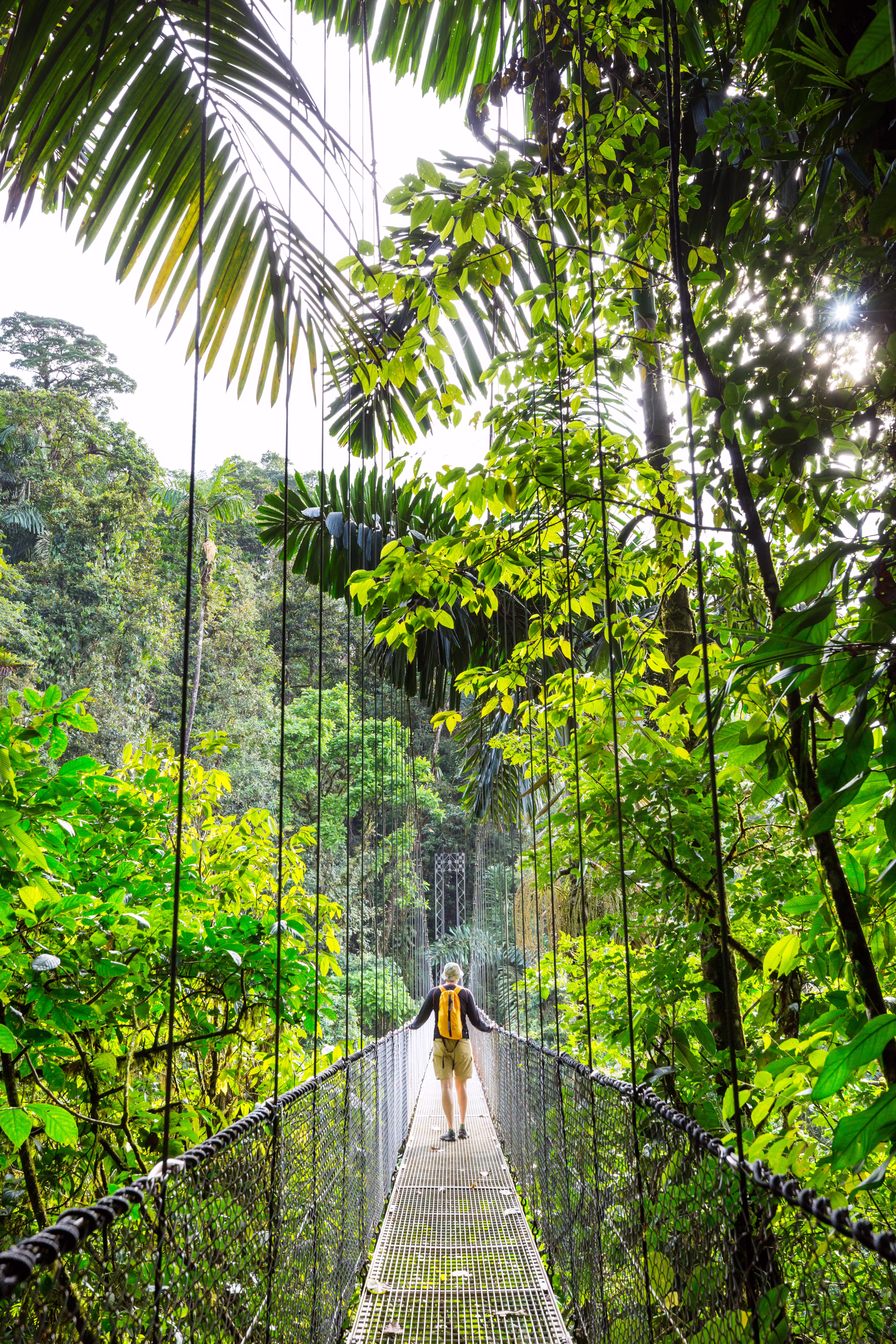 Hiking in Costa Rica jungle